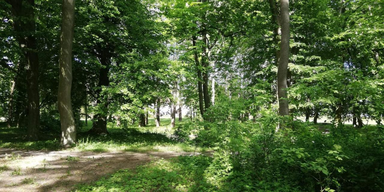Dwor Komorowo Exteriör bild