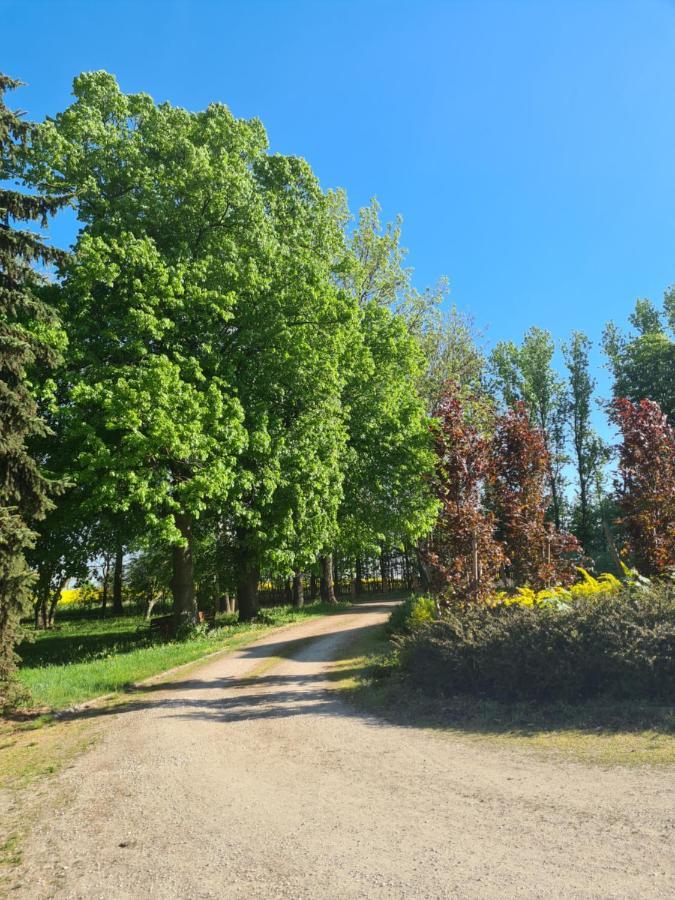 Dwor Komorowo Exteriör bild